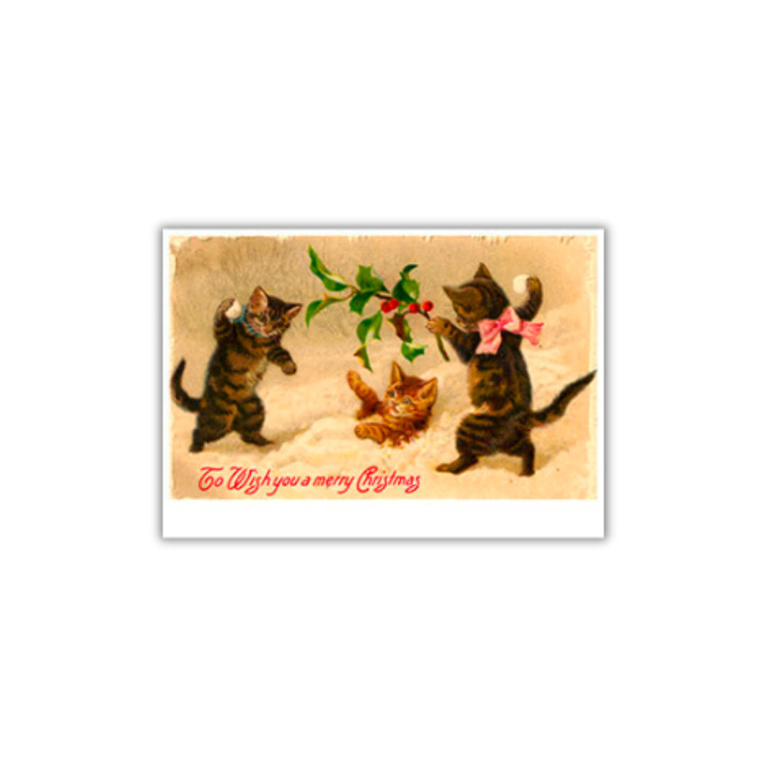 kerstpakket brievenbusdoos brievenbuscadeau brievenbus cadeau kado kerstsokken kerstman kerstkaarten kerstkaart kerstboom sneeuwpop rendier dansen verlichting chocolademelk zakje theezakje winter thee lipton luxe bonbons chocolade chocola chocolaatjes kerst 2022 feestdagen kerstperiode feestperiode zakelijk cadeau personeelscadeau partner goedkoop